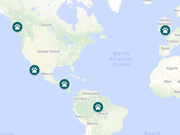 Map: How Tourism Can Save Nature Map: How Tourism Can Save Nature