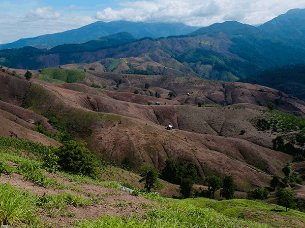 What is Nature Positive Tourism? What is Nature Positive Tourism?