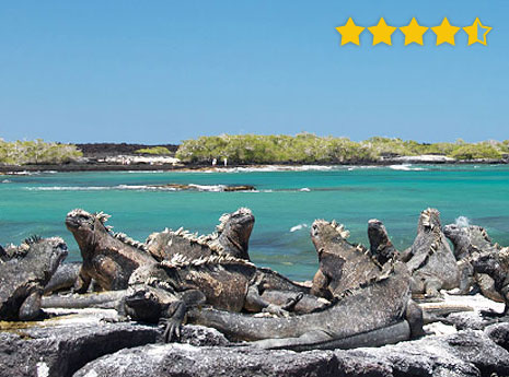 Galapagos small group land based adventure Galapagos small group land based adventure